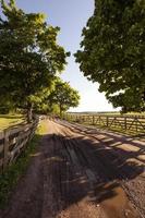 the road on a farm photo