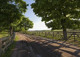 the road on a farm photo