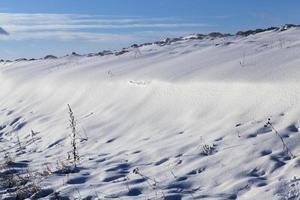Snow in winter photo