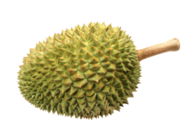 durian en archivo png de fondo transparente
