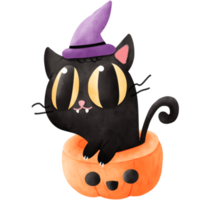 Watercolor cat in pumpkin png
