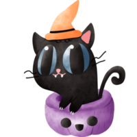 Watercolor cat in pumpkin png