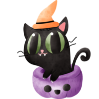 Watercolor cat in pumpkin png