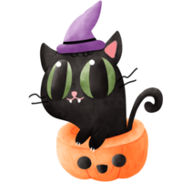 Watercolor cat in pumpkin png