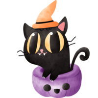 Watercolor cat in pumpkin png