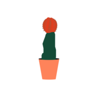 red cactus in pot png