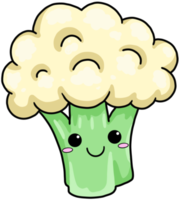 cavolfiore vegetale colorato simpatico cartone animato png