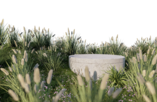 una imagen de representación 3d de la exhibición del producto en el campo de hierba png