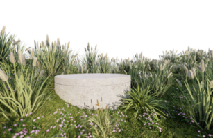 una imagen de representación 3d de la exhibición del producto en el campo de hierba png