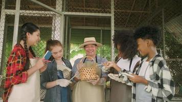 Multiracial children are happy, count and record chicken eggs from uncle farmer's hen in notebooks, agriculture and livestock product at organic farm, and kids group are joyful in natural countryside. video