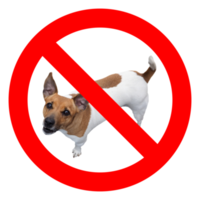 pas de signe de chien png transparent