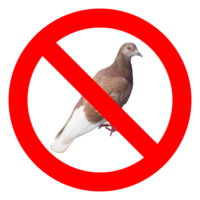 No pigeons sign transparent PNG