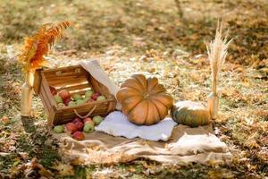 Autumn decor in the park. Pumpkins and red apples lying in wooden box on autumn background. Autumn time. Thanksgiving Day. photo
