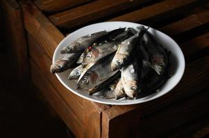 Fresh sardines on rustic wooden background. photo