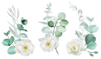 dibujo acuarela, un conjunto de ramos de flores de rosa mosqueta blanca y hojas de eucalipto. diseño de imágenes prediseñadas para bodas, flores y hojas de eucalipto estilo vintage vector