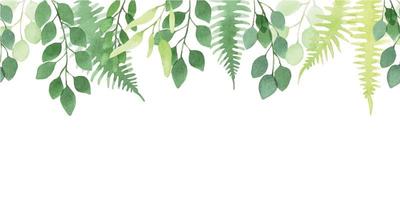 borde de acuarela transparente, patrón, banner. lindo eucalipto simple y hojas de helecho. impresión abstracta con hojas verdes transparentes aisladas sobre fondo blanco vector