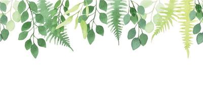 seamless watercolor border, pattern, banner. cute simple eucalyptus and fern leaves. abstract print with transparent green leaves isolated on white background vector