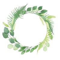 round watercolor frame made of simple abstract fern and eucalyptus leaves. green forest herbs and leaves isolated on white background.