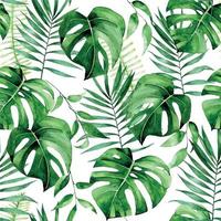 acuarela de patrones sin fisuras tropicales. imprimir con hojas de color verde tropical sobre un fondo blanco. hojas de palma, monstera, plantas de la selva vector