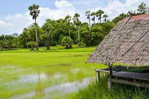 Photo corner for relaxing in a hammock in a resort in the middle of rice fields, a tourist attraction, Thai photography corner