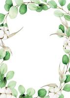 watercolor rectangular frame with eucalyptus leaves and cotton flowers. autumn decor of green eucalyptus and cotton leaves for wedding, cards, congratulations, invitations. watercolor clipart on white vector