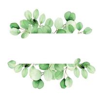 frame from leaves and branches of eucalyptus painted in watercolor. green eucalyptus leaves, tropical plant isolated on white background. web banner, frame, border. decoration for cards, invitations vector