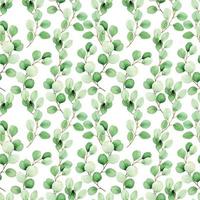 Acuarela de patrones sin fisuras con hojas de eucalipto sobre un fondo blanco. impresión vintage para tela, papel tapiz. hojas verdes tropicales, patrón botánico vector