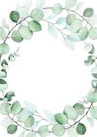 hand drawing round frame of eucalyptus leaves. graphic design element for wedding, greeting card, cosmetics label. space for text vector