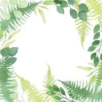 square watercolor frame with simple abstract leaves. wild, forest herbs, eucalyptus leaves, fern. vector