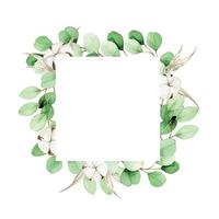 watercolor square frame with eucalyptus leaves and cotton flowers. clipart of a rectangular frame with cotton bolls and eucalyptus leaves. boho design for weddings, postcards, congratulations. vector