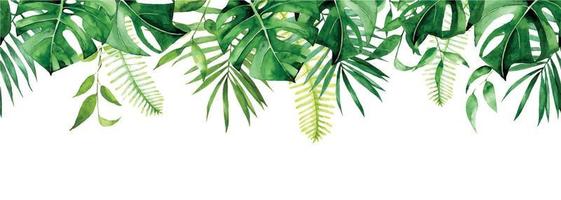 borde de acuarela transparente, pancarta, marco con hojas tropicales. hojas verdes de monstera, palma, helecho aislado sobre fondo blanco. imágenes prediseñadas de impresión perfecta vector