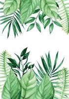 watercolor drawing, frame with tropical leaves. border palm leaves, jungle plants. bright summer background with place for text isolated on white background vector