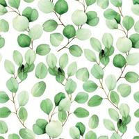 seamless watercolor pattern with eucalyptus leaves on a white background. vintage pattern with green tropical eucalyptus leaves. design for wallpaper, fabric, postcards, covers vector