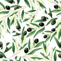 seamless watercolor pattern with olive leaves and fruits, realistic vintage drawing. black olives isolated en white background. print for fabric, wallpaper, paper.