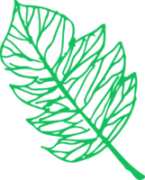 Hand drawn tree icon with leaf sign design png