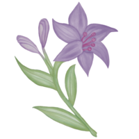 elemento de flor em aquarela png