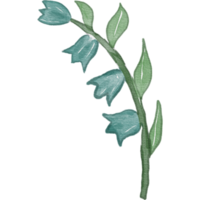 Élément aquarelle fleur png