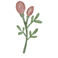 Élément aquarelle fleur png