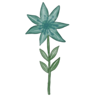 elemento de aquarela de flores png