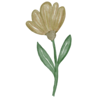 blomma akvarell element png