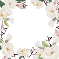 watercolor white magnolia flower branch bouquet square banner background png