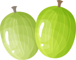 Agrust green berries. png