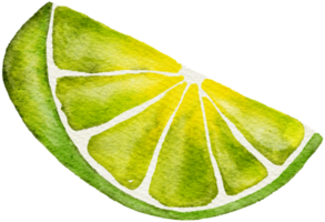 Lemon painted in watercolor. png