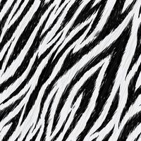 Hand drawn Seamless pattern of Zebra print, Detail skin of Zebra, Realistic Zebra pattern vector