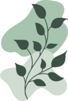 Botanical floral Hand drawn with organic blob shape, leaf and branch element for design png