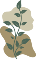 main florale botanique dessinée avec une forme de goutte organique, un élément de feuille et de branche pour la conception png