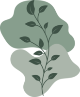 Botanical floral Hand drawn with organic blob shape, leaf and branch element for design png