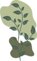 Botanical floral Hand drawn with organic blob shape, leaf and branch element for design png