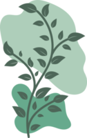 Botanical floral Hand drawn with organic blob shape, leaf and branch element for design png