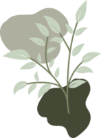 illustration de design plat dessiné à la main feuille florale png